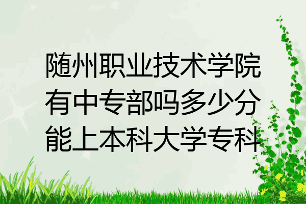 随州职业技术学院有中专部吗多少分能上本科大学专科