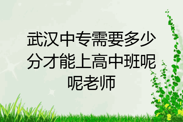 武汉中专需要多少分才能上高中班呢呢老师
