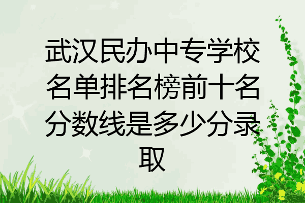 武汉民办中专学校名单排名榜前十名分数线是多少分录取