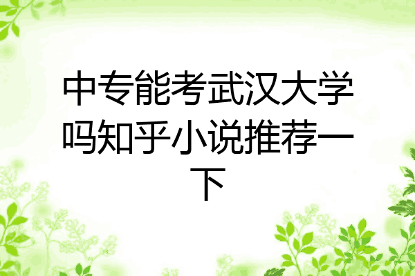 中专能考武汉大学吗知乎小说推荐一下