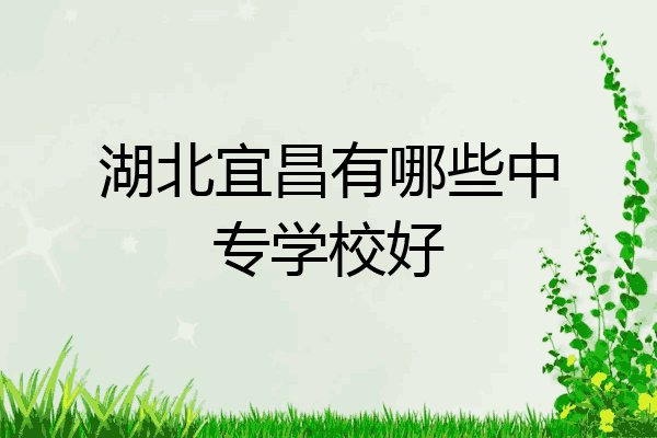 湖北宜昌有哪些中专学校好