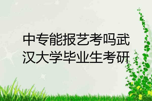 中专能报艺考吗武汉大学毕业生考研