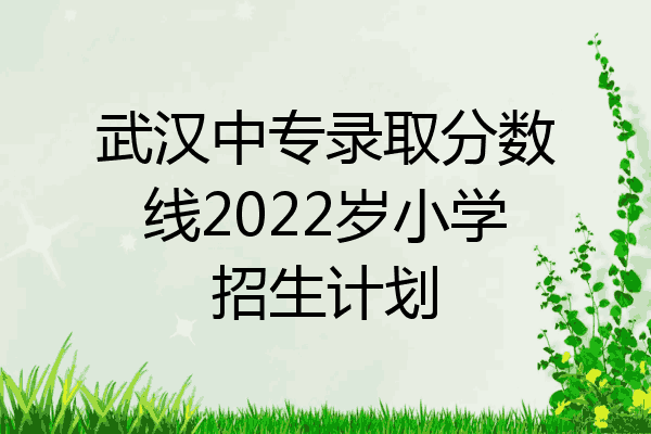 武汉中专录取分数线2022岁小学招生计划