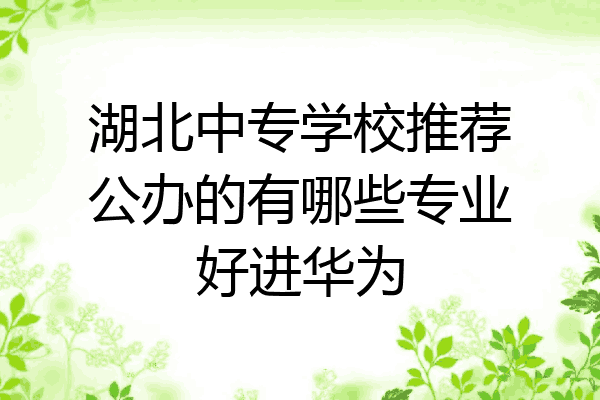湖北中专学校推荐公办的有哪些专业好进华为
