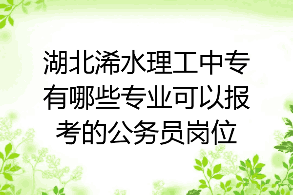湖北浠水理工中专有哪些专业可以报考的公务员岗位