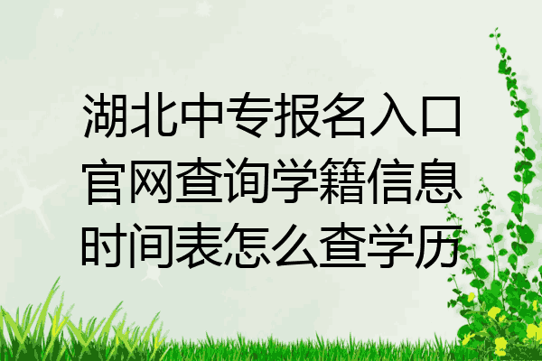 湖北中专报名入口官网查询学籍信息时间表怎么查学历