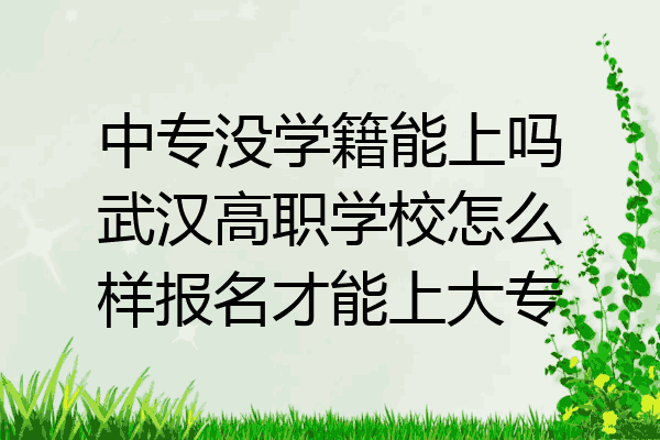 中专没学籍能上吗武汉高职学校怎么样报名才能上大专