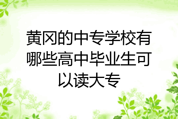 黄冈的中专学校有哪些高中毕业生可以读大专