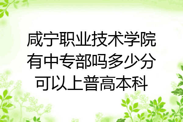 咸宁职业技术学院有中专部吗多少分可以上普高本科