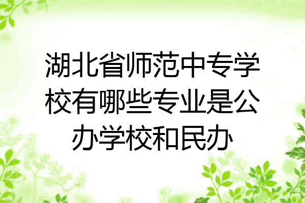 湖北省师范中专学校有哪些专业是公办学校和民办