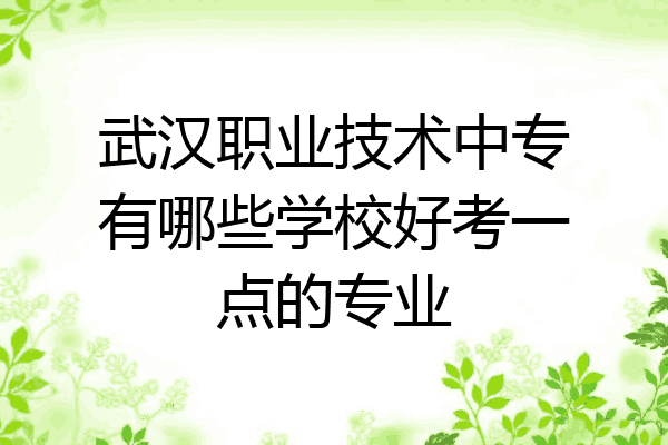 武汉职业技术中专有哪些学校好考一点的专业