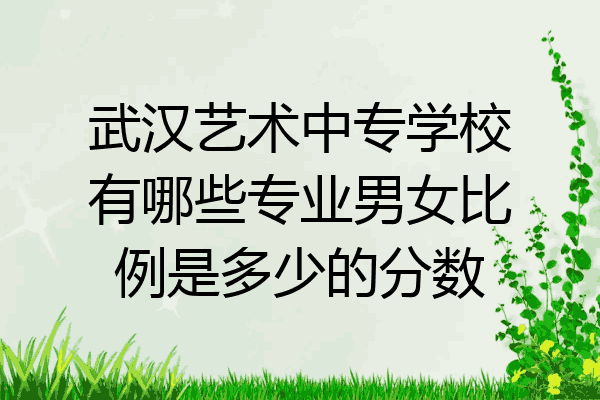 武汉艺术中专学校有哪些专业男女比例是多少的分数