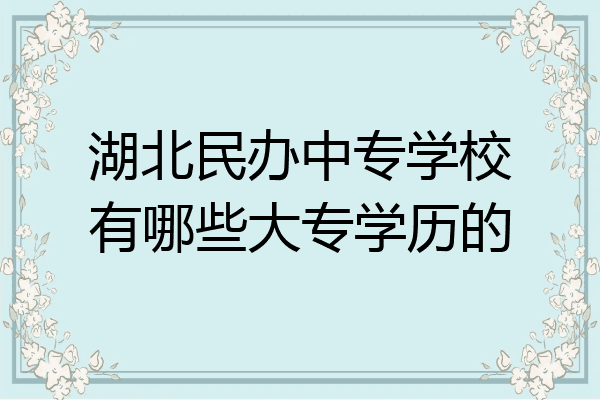湖北民办中专学校有哪些大专学历的