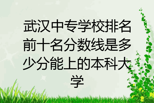 武汉中专学校排名前十名分数线是多少分能上的本科大学
