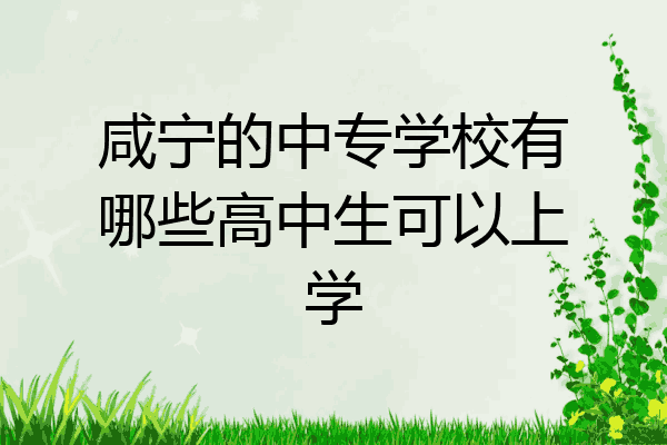 咸宁的中专学校有哪些高中生可以上学