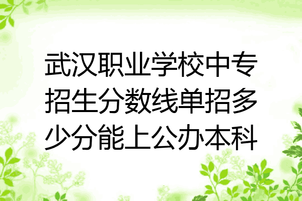 武汉职业学校中专招生分数线单招多少分能上公办本科
