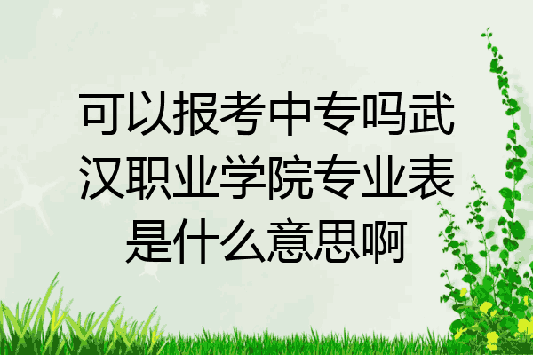 可以报考中专吗武汉职业学院专业表是什么意思啊