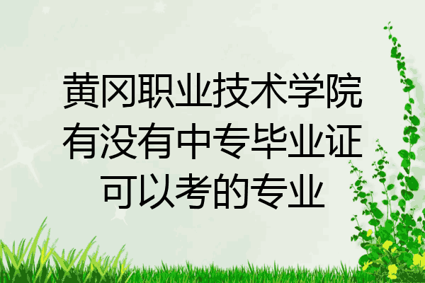 黄冈职业技术学院有没有中专毕业证可以考的专业