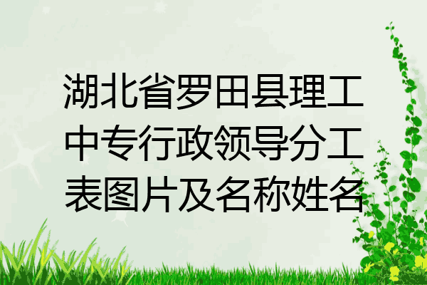 湖北省罗田县理工中专行政领导分工表图片及名称姓名