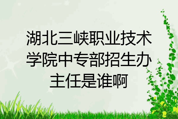 湖北三峡职业技术学院中专部招生办主任是谁啊