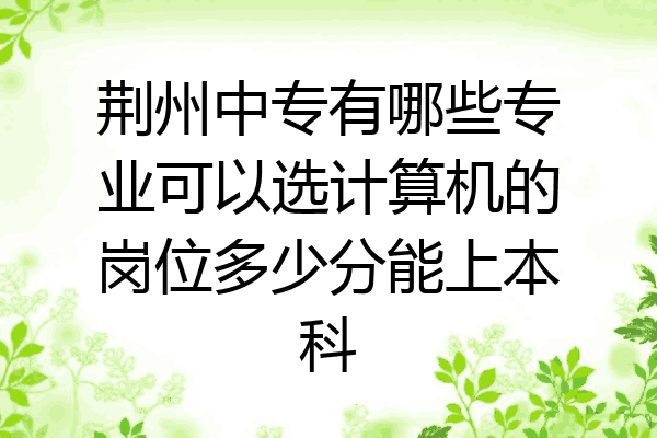 荆州中专有哪些专业可以选计算机的岗位多少分能上本科