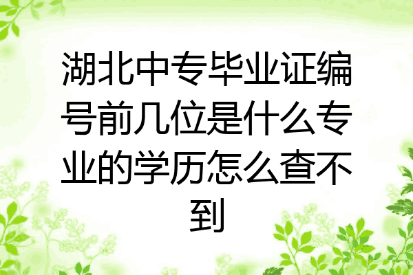 湖北中专毕业证编号前几位是什么专业的学历怎么查不到