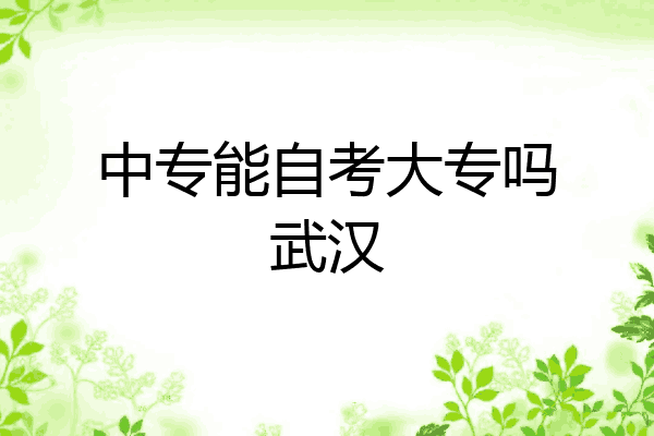 中专能自考大专吗武汉