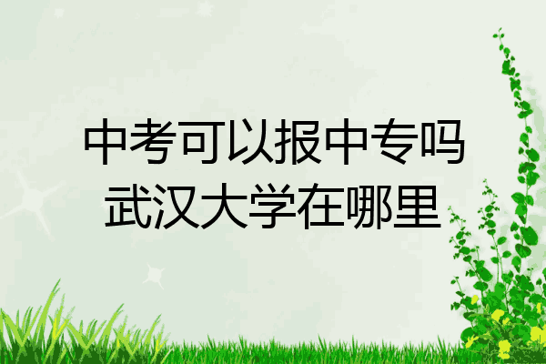 中考可以报中专吗武汉大学在哪里