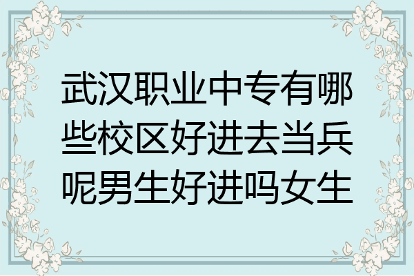 武汉职业中专有哪些校区好进去当兵呢男生好进吗女生