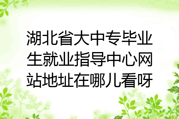 湖北省大中专毕业生就业指导中心网站地址在哪儿看呀