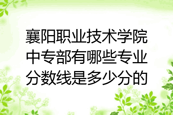 襄阳职业技术学院中专部有哪些专业分数线是多少分的
