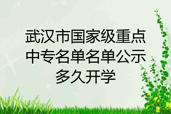武汉市国家级重点中专名单名单公示多久开学