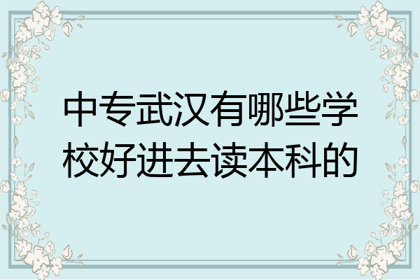 中专武汉有哪些学校好进去读本科的