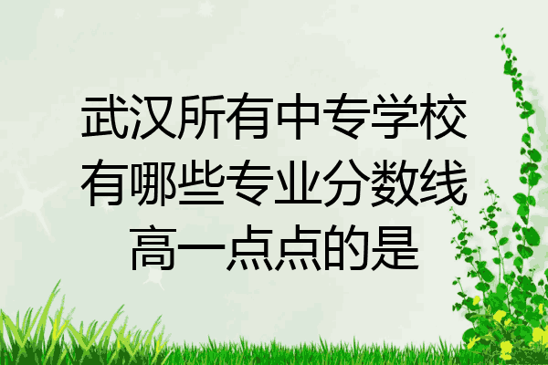 武汉所有中专学校有哪些专业分数线高一点点的是