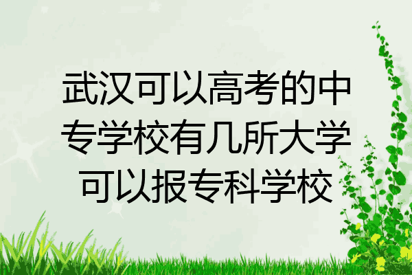 武汉可以高考的中专学校有几所大学可以报专科学校