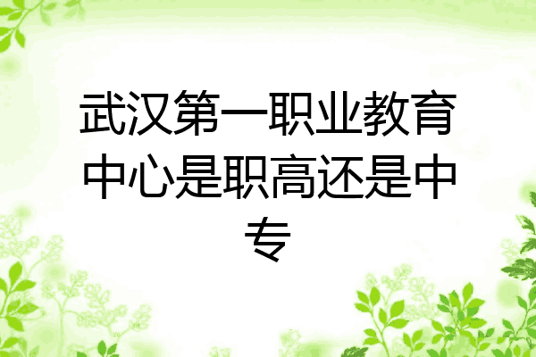 武汉第一职业教育中心是职高还是中专