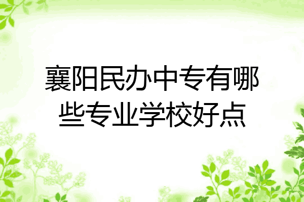 襄阳民办中专有哪些专业学校好点