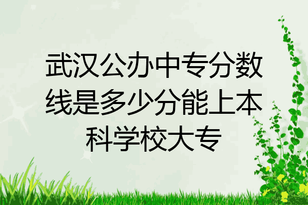 武汉公办中专分数线是多少分能上本科学校大专