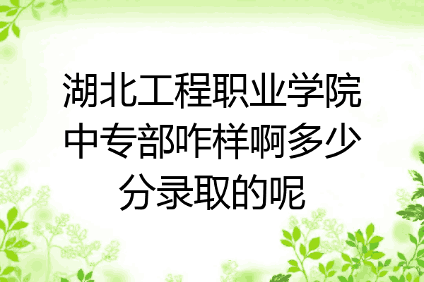 湖北工程职业学院中专部咋样啊多少分录取的呢