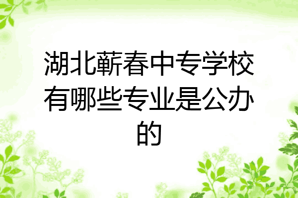 湖北蕲春中专学校有哪些专业是公办的
