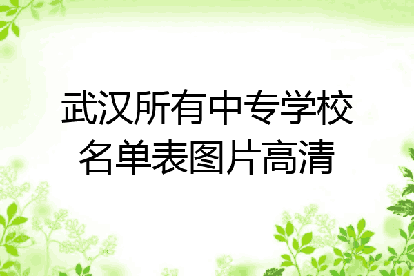 武汉所有中专学校名单表图片高清