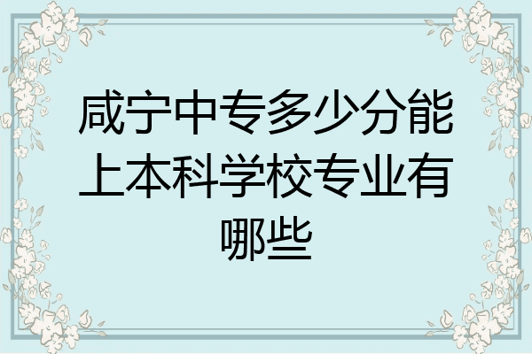 咸宁中专多少分能上本科学校专业有哪些