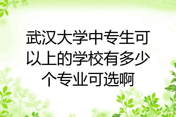 武汉大学中专生可以上的学校有多少个专业可选啊