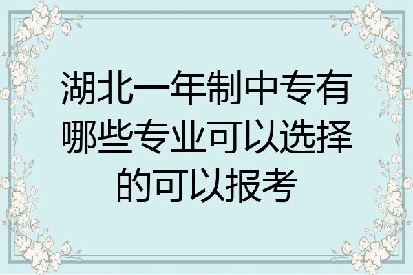 湖北一年制中专有哪些专业可以选择的可以报考