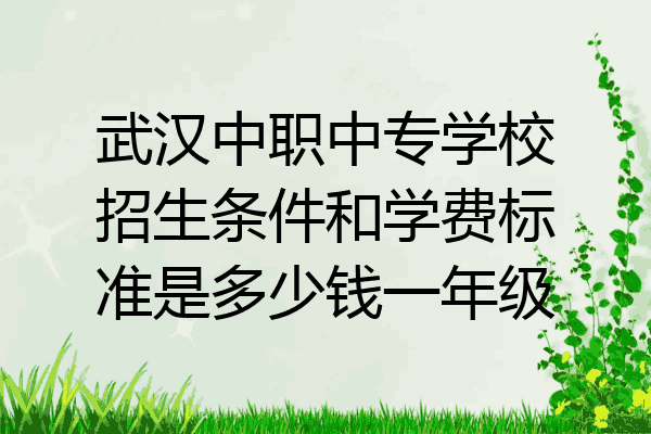 武汉中职中专学校招生条件和学费标准是多少钱一年级