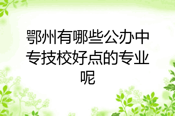 鄂州有哪些公办中专技校好点的专业呢