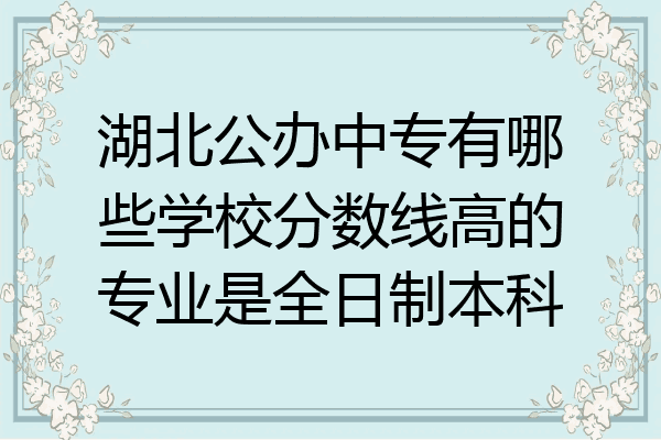 湖北公办中专有哪些学校分数线高的专业是全日制本科