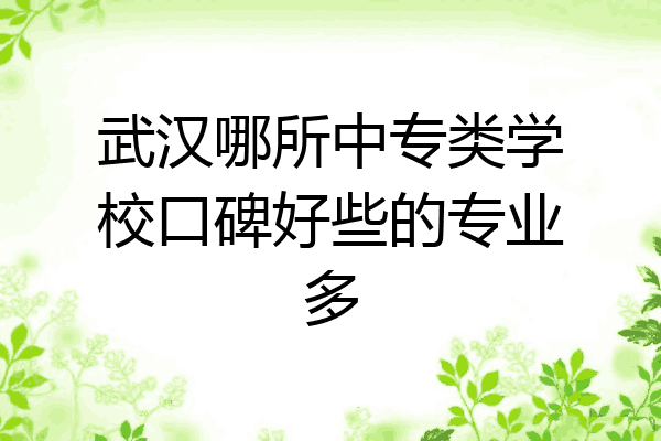 武汉哪所中专类学校口碑好些的专业多