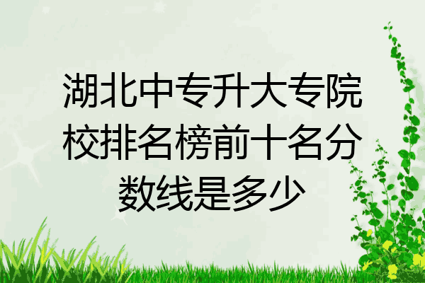 湖北中专升大专院校排名榜前十名分数线是多少