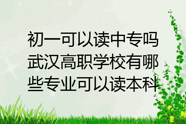 初一可以读中专吗武汉高职学校有哪些专业可以读本科